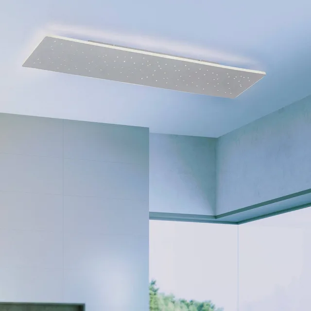 Paul Neuhaus Q-NIGHTSKY, LED plafondlamp 100x25cm