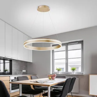 Paul Neuhaus Q-VITO LED hanglamp, 1 ring van Q-Smart-Home in Mat messing, Wit – productfoto 2 van 5