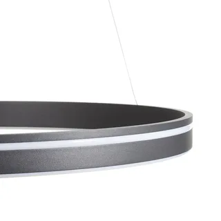 Paul Neuhaus Q-VITO LED hanglamp 79cm van Q-Smart-Home in Antraciet – productfoto 3 van 5