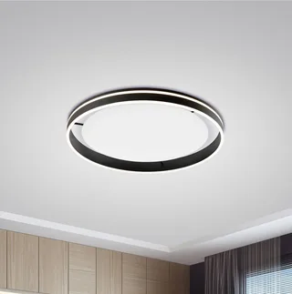Paul Neuhaus Q-VITO LED-loftlampe 79 cm antracit fra Q-Smart-Home i Antracit, Hvid – produktbillede 1 af 5