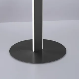 Paul Neuhaus Q-VITO LED vloerlamp, antraciet de Q-Smart-Home en Anthracite, Blanc – photo produit 3 sur 5