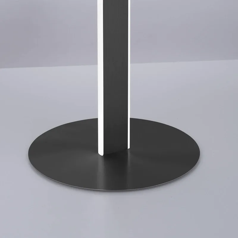 Paul Neuhaus Q-VITO LED vloerlamp, antraciet de Q-Smart-Home en Anthracite, Blanc – photo produit 3 sur 5