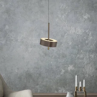 Paul Neuhaus SMART+ hanglamp Q-Rotate donkerbruin Ø14cm van Q-Smart-Home in Donkerbruin metallic – productfoto 1 van 5
