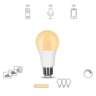 dimming LED lamp E27, 9W 2.700K von tint – Produktfoto 1 von 2