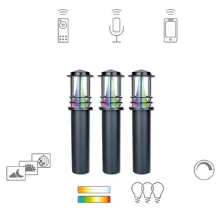 Petunia LED tuinpadverlichting set van 3 by tint in Black – product photo 1 of 5