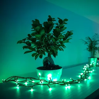 RGB lichtkettingen, 250 lampjes 20m från Twinkly i Svart – produktbild 1 av 5