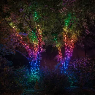 RGB lichtkettingen, 250 lampjes 20m från Twinkly i Svart – produktbild 2 av 5