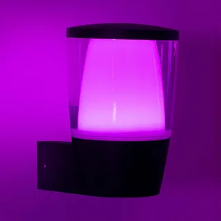 LED buitenwandlamp Elpas RGBW van WiZ in Zwart – productfoto 1 van 5